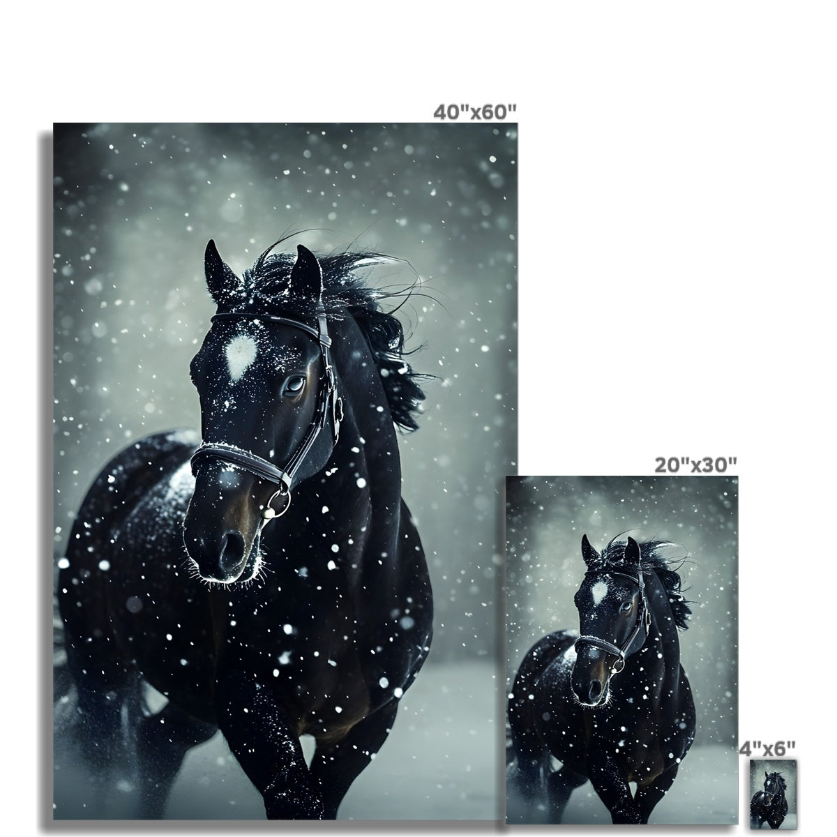 Silence d'Hiver : Cheval sous la Neige Hahnemühle Photo Rag Print