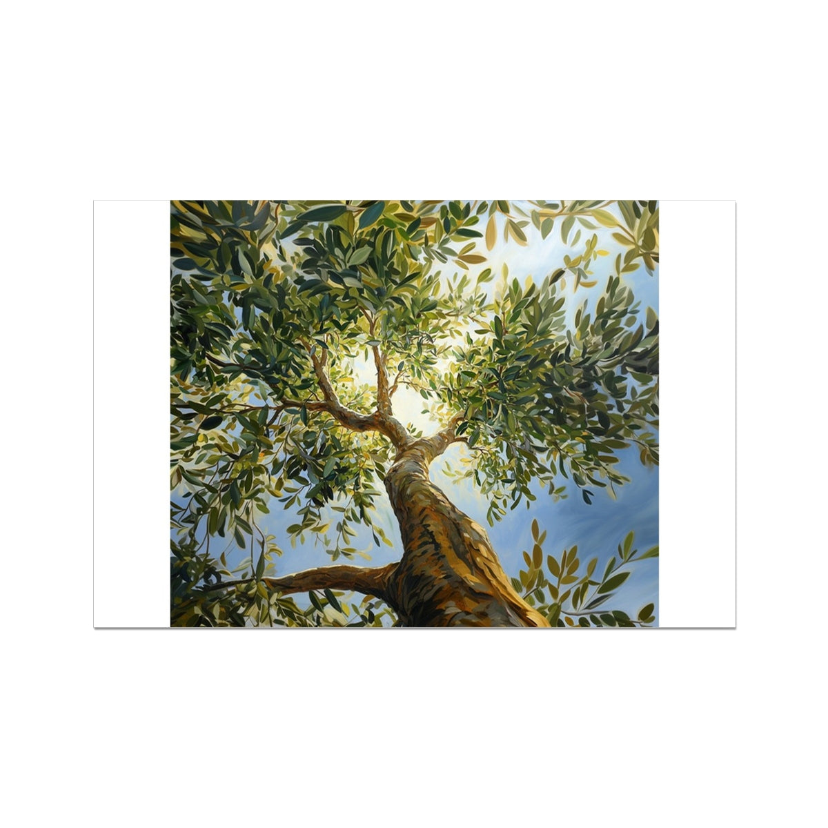 Lienzo enrollado de olivo