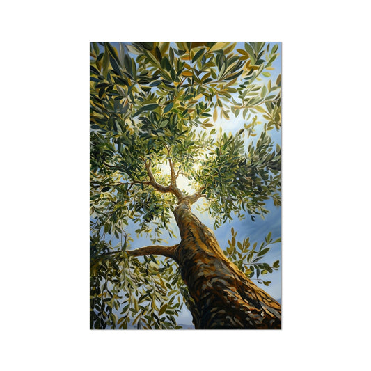 Lienzo enrollado de olivo