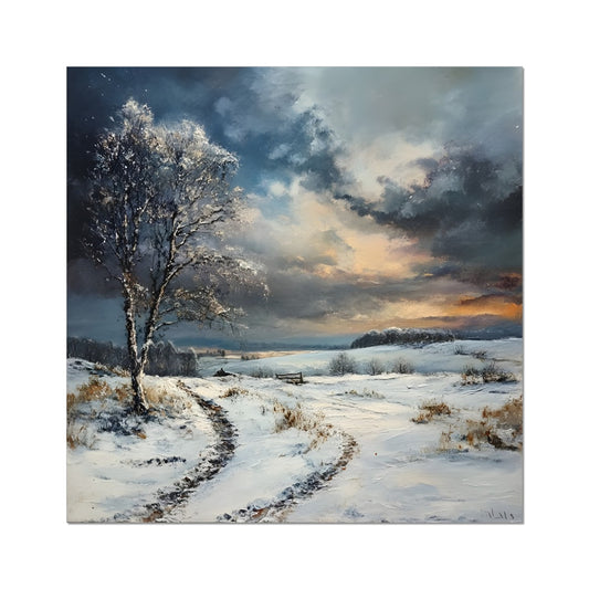 Cold and Clarity Winter in the Mysterious Moor Fine Art Print