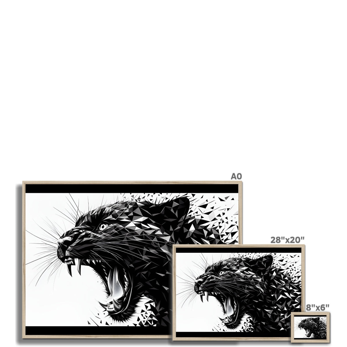 Shadow Power Roar of Geometry Framed Print