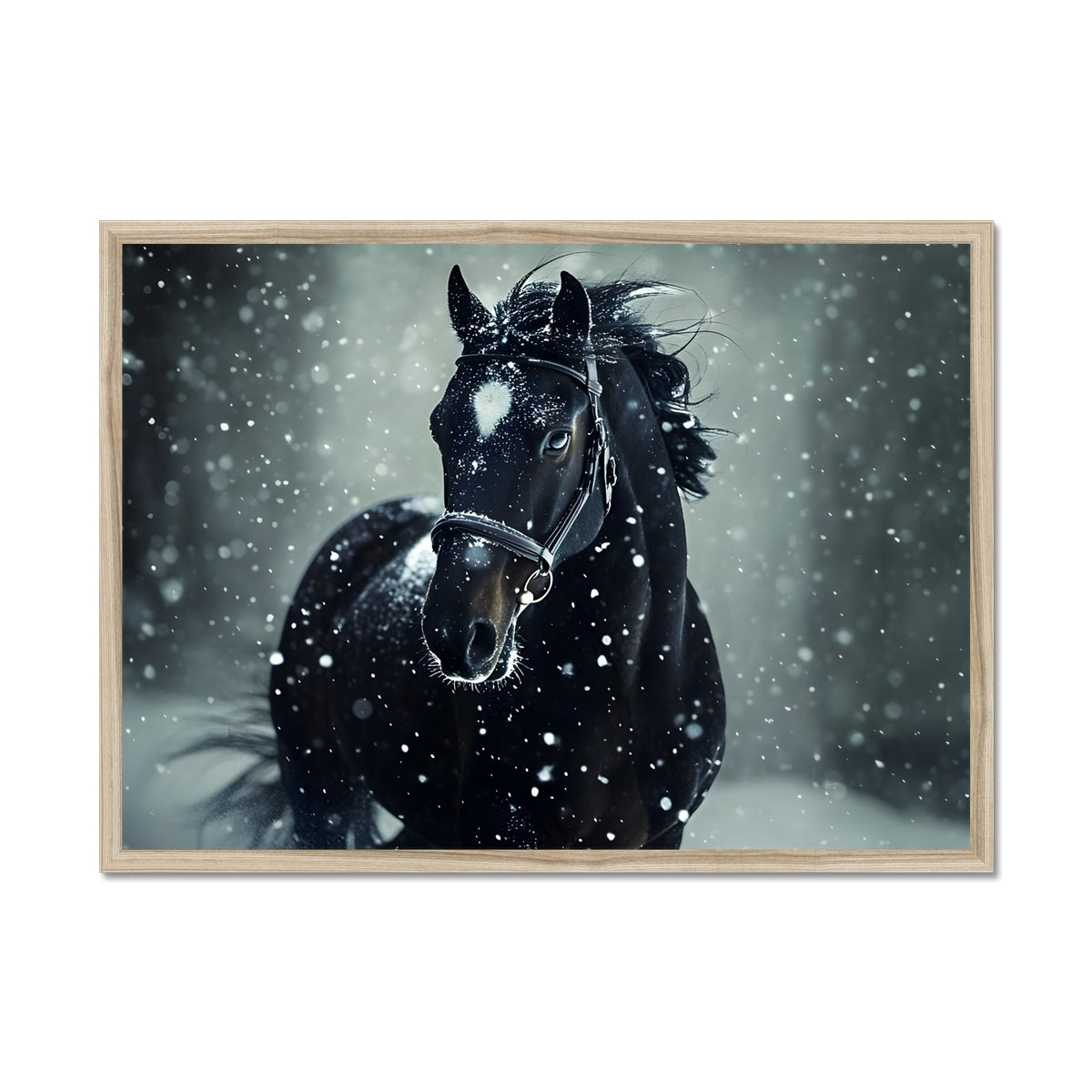 Silence d’Hiver : Cheval sous la Neige Framed Print