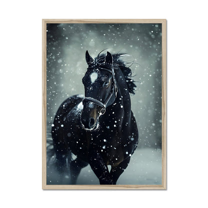Silence d’Hiver : Cheval sous la Neige Framed Print