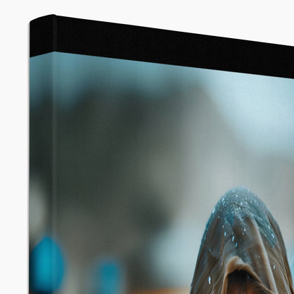 Augen der Wüste, Gedanken des Meeres Ökologische Leinwand