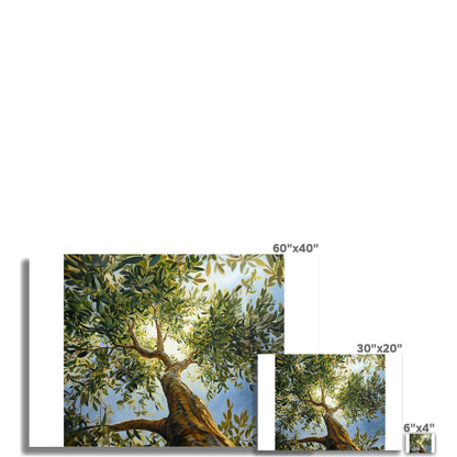 Impresión artística de olivo