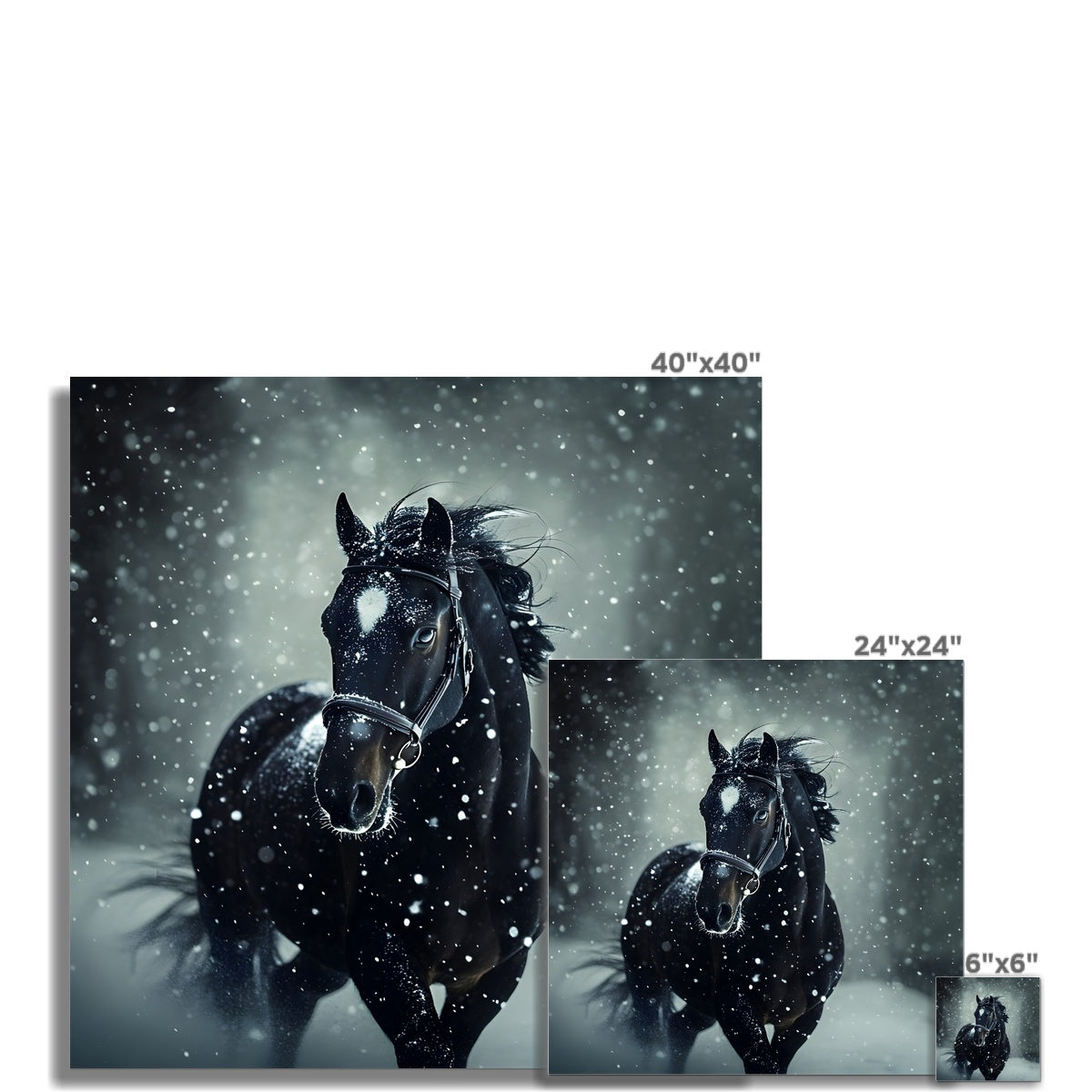 Silence d'Hiver : Cheval sous la Neige Hahnemühle Photo Rag Print