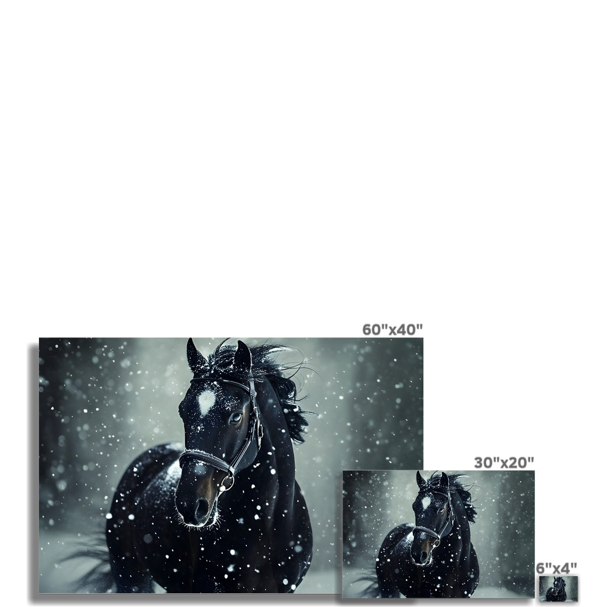 Silence d'Hiver : Cheval sous la Neige Hahnemühle Photo Rag Print