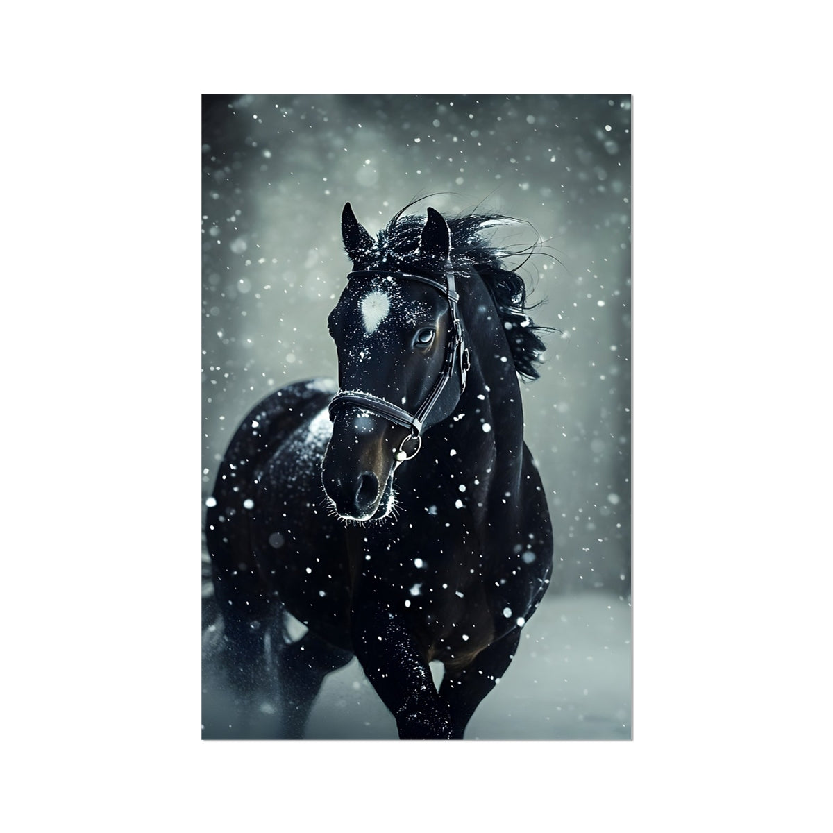 Silence d'Hiver : Cheval sous la Neige Hahnemühle Photo Rag Print