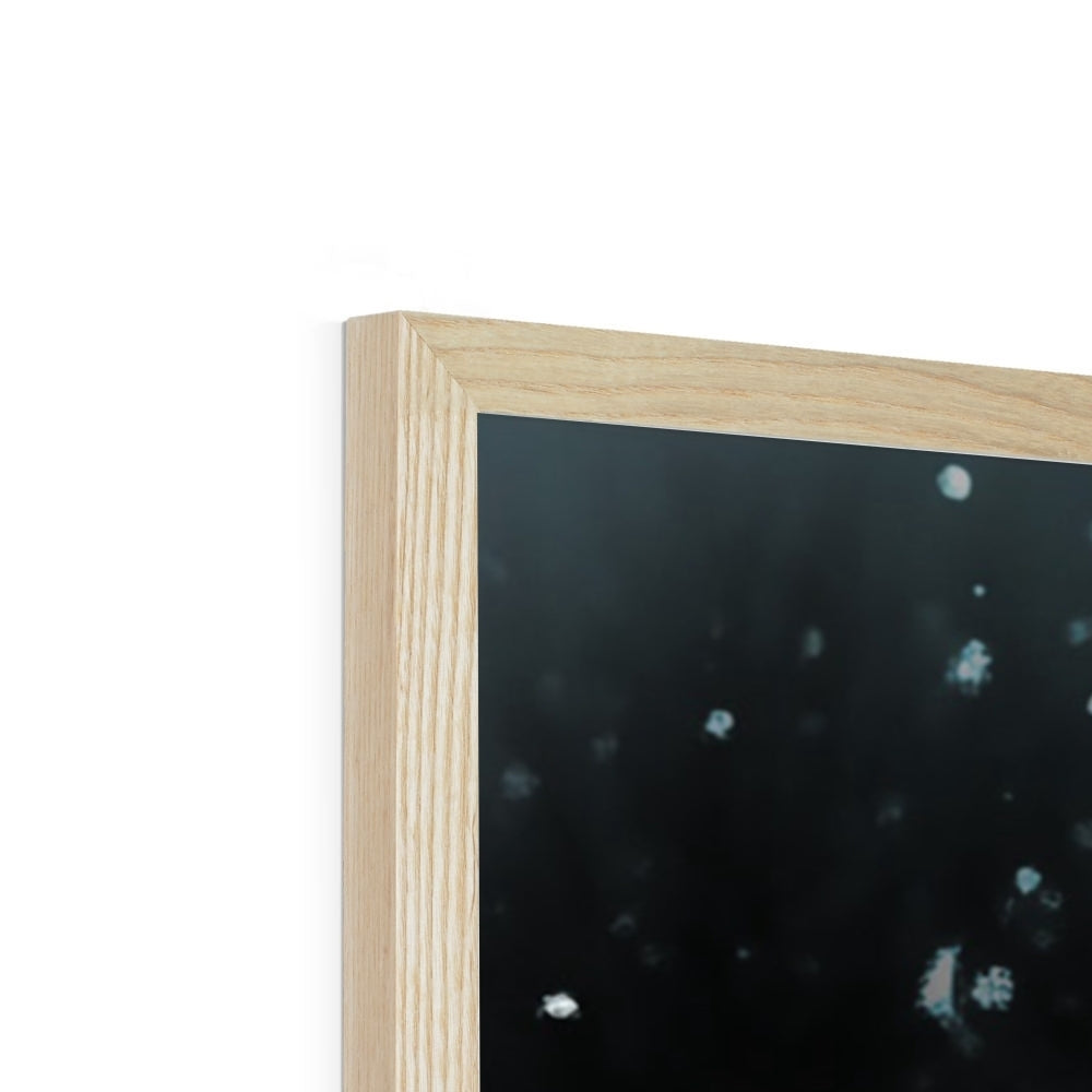 Élégance Givrée dans la Tempête de Neige Framed Print
